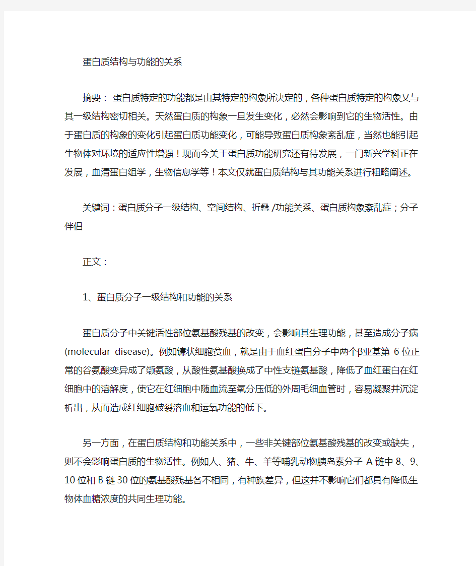 蛋白质的结构和功能的关系