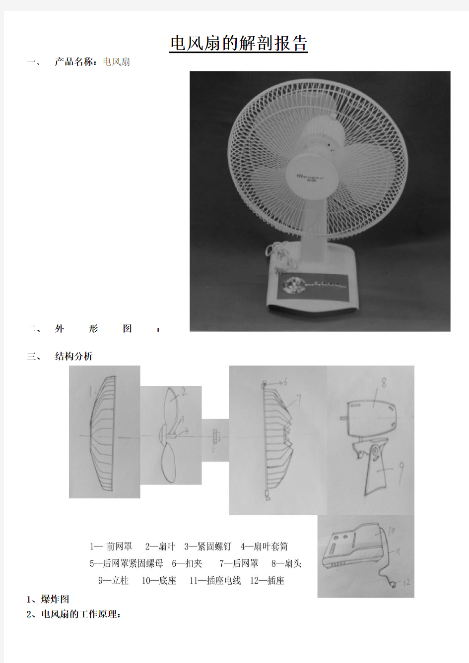 电风扇的解剖报告