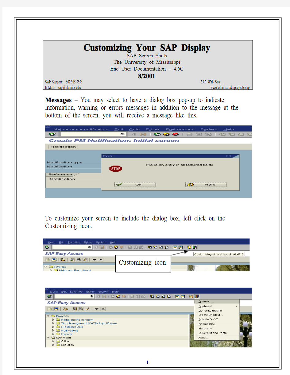 如何设置SAP操作界面