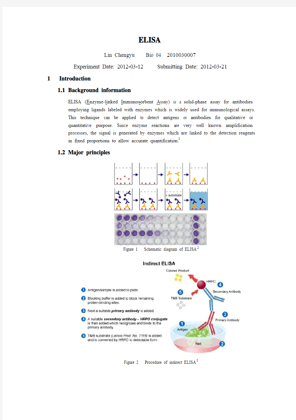 ELISA(酶联免疫吸附测定)实验报告