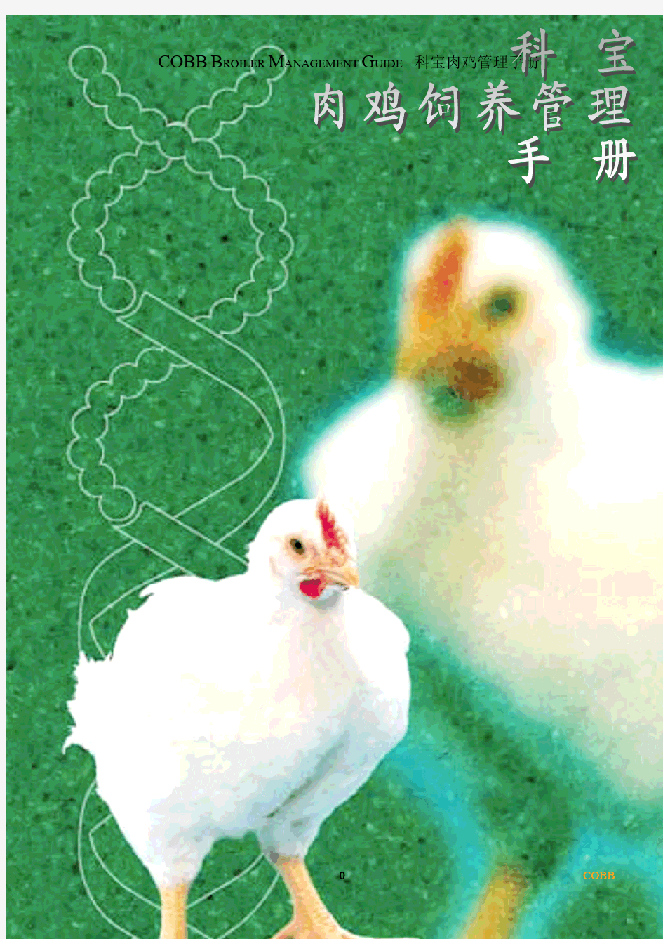 肉鸡饲养管理_2006