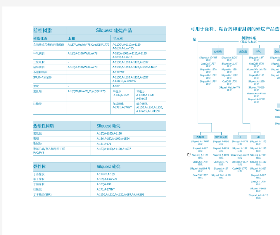 MOMENTIVE 硅烷目录中文版