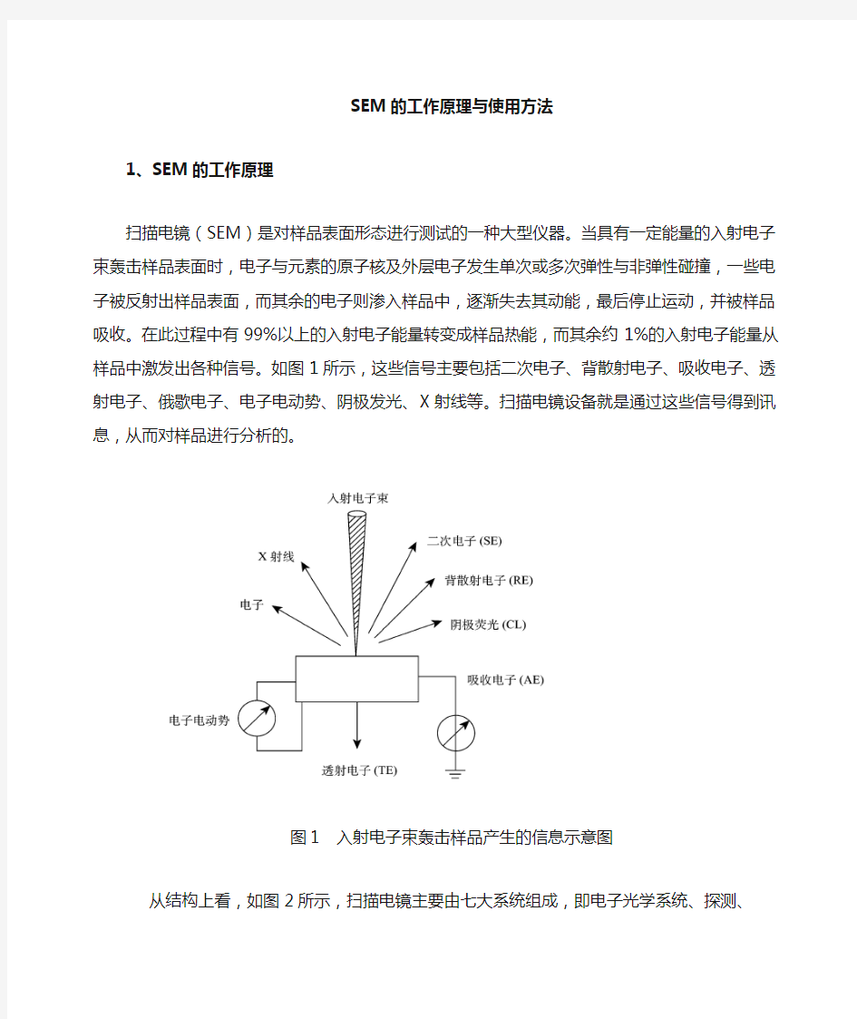 (完整版)SEM工作原理与使用方法