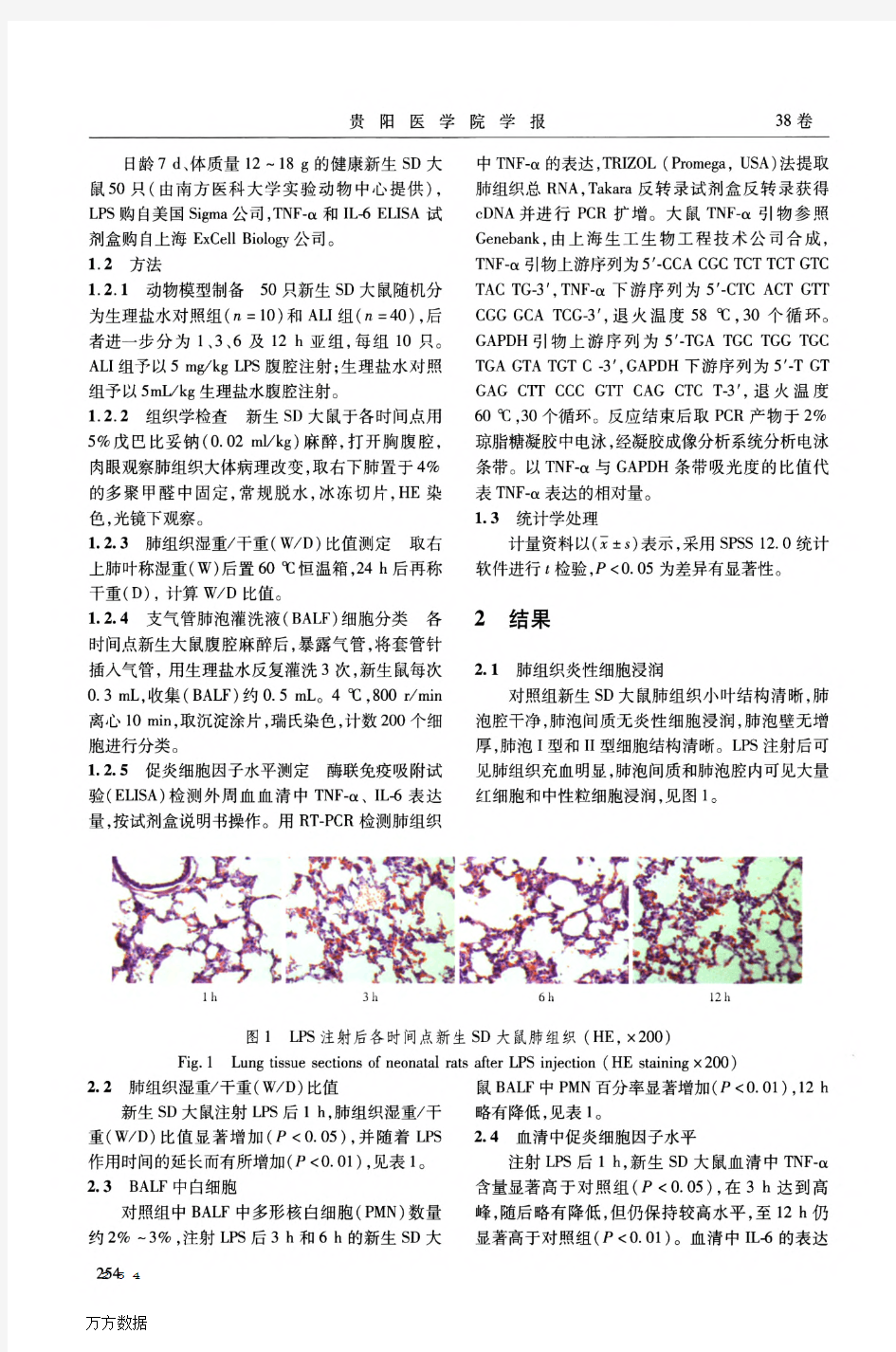 内毒素致新生SD大鼠肺损伤模型的建立及鉴定