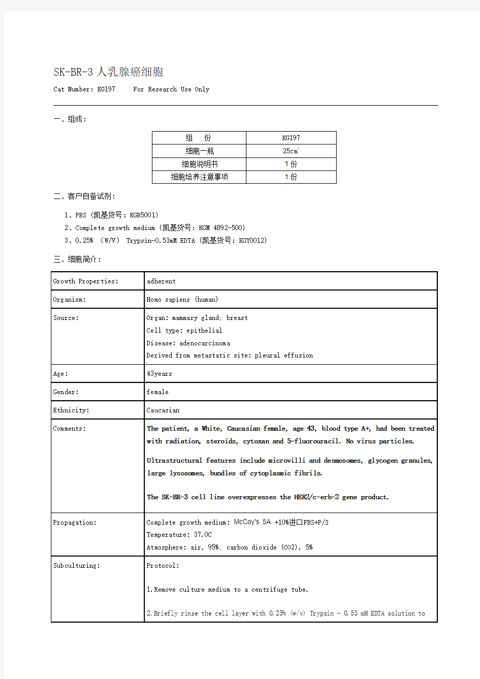 SK-BR-3人乳腺癌细胞