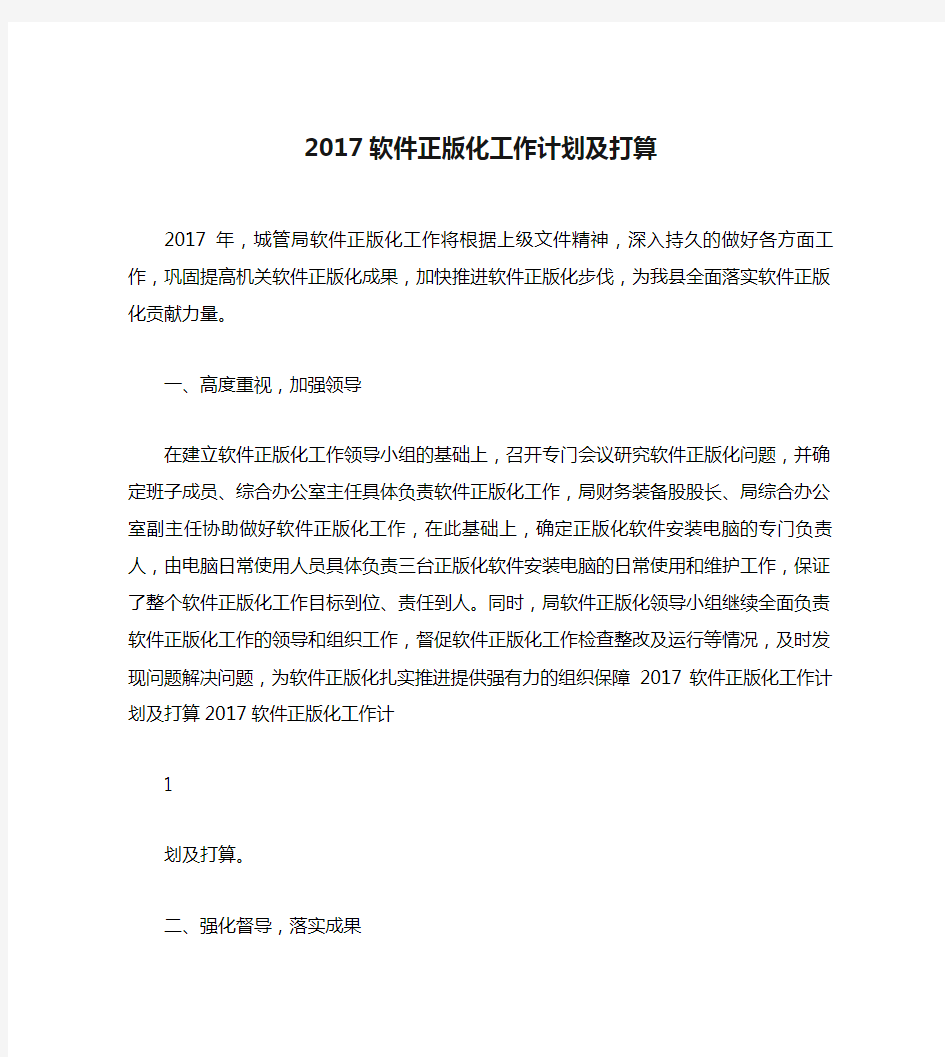 2017软件正版化工作计划及打算