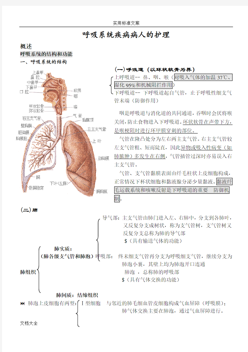 内科护理学笔记(呼吸系统)