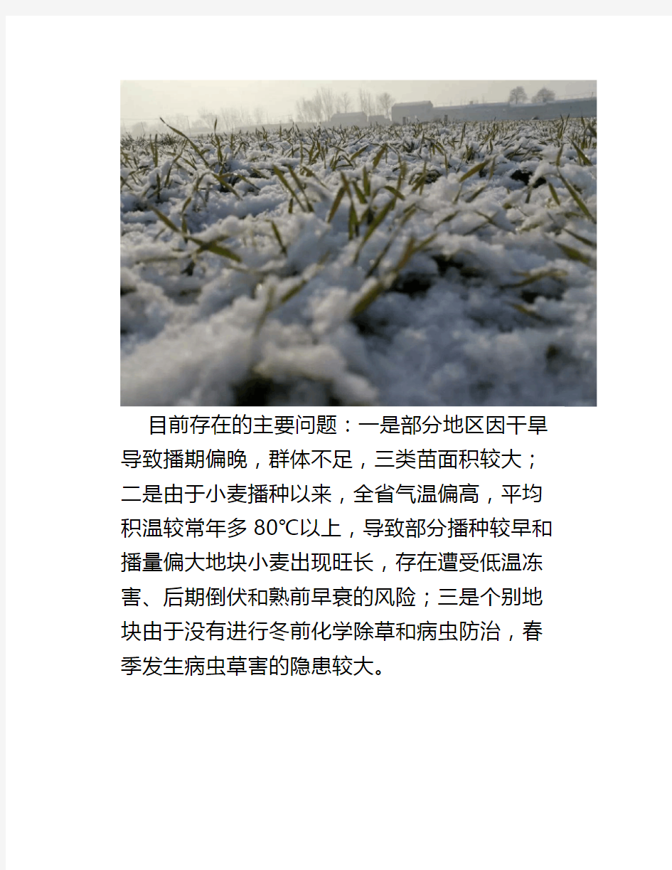【农业】2020年山东省小麦春季管理技术意见来了镇压是头等大事