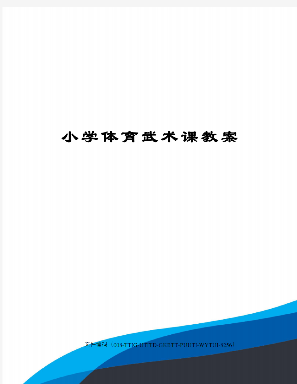 小学体育武术课教案精编版