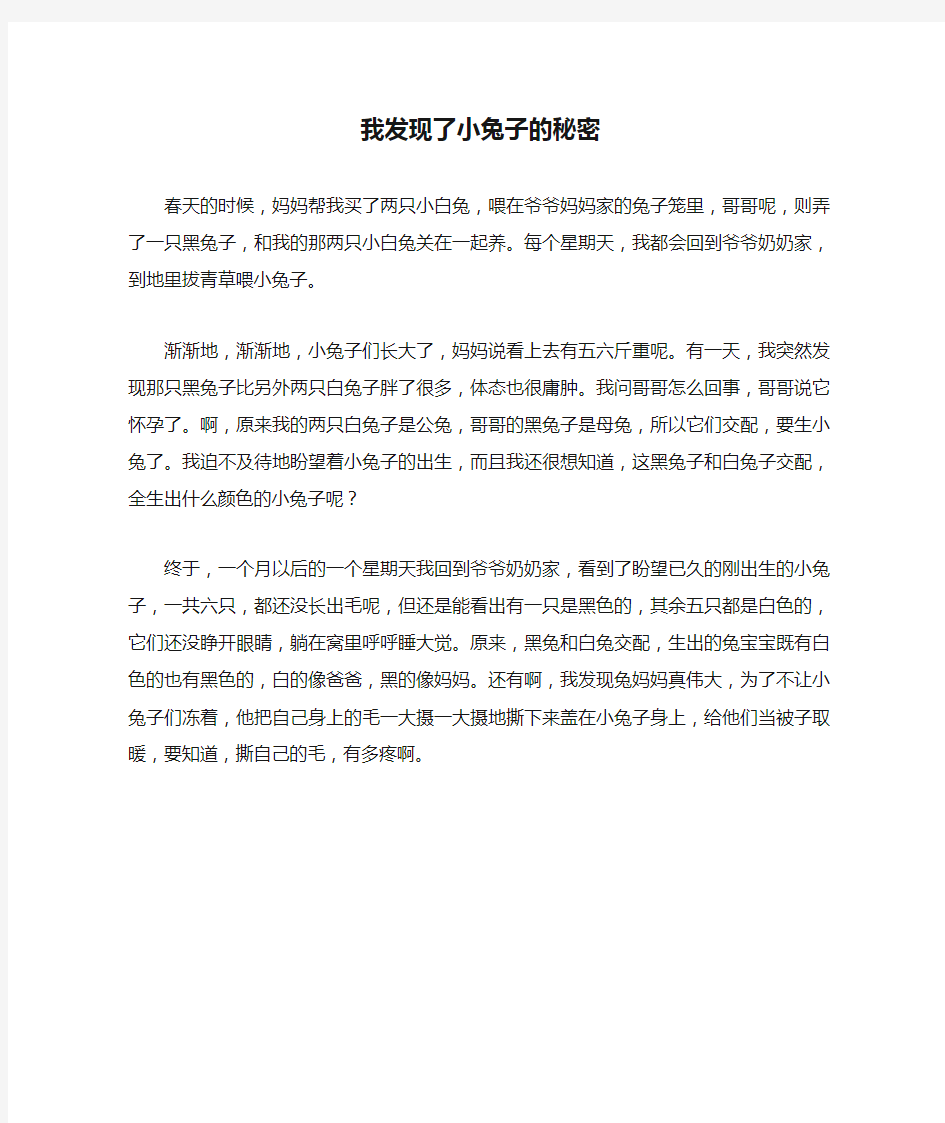 我发现了小兔子的秘密