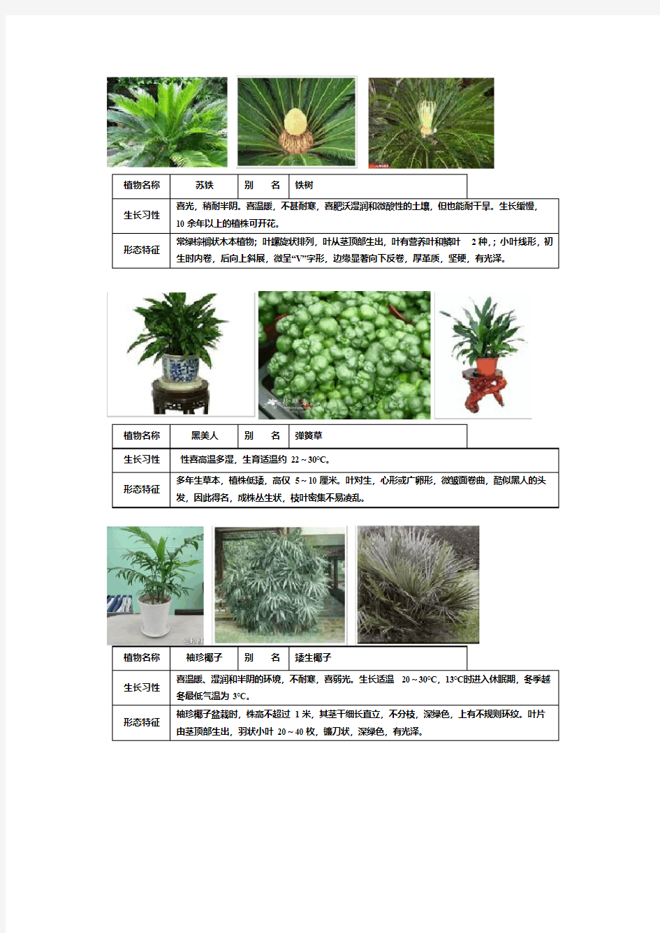 园林常用的50种植物介绍