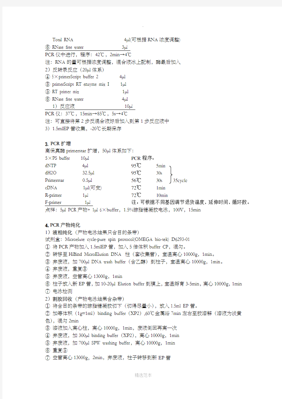 质粒构建流程