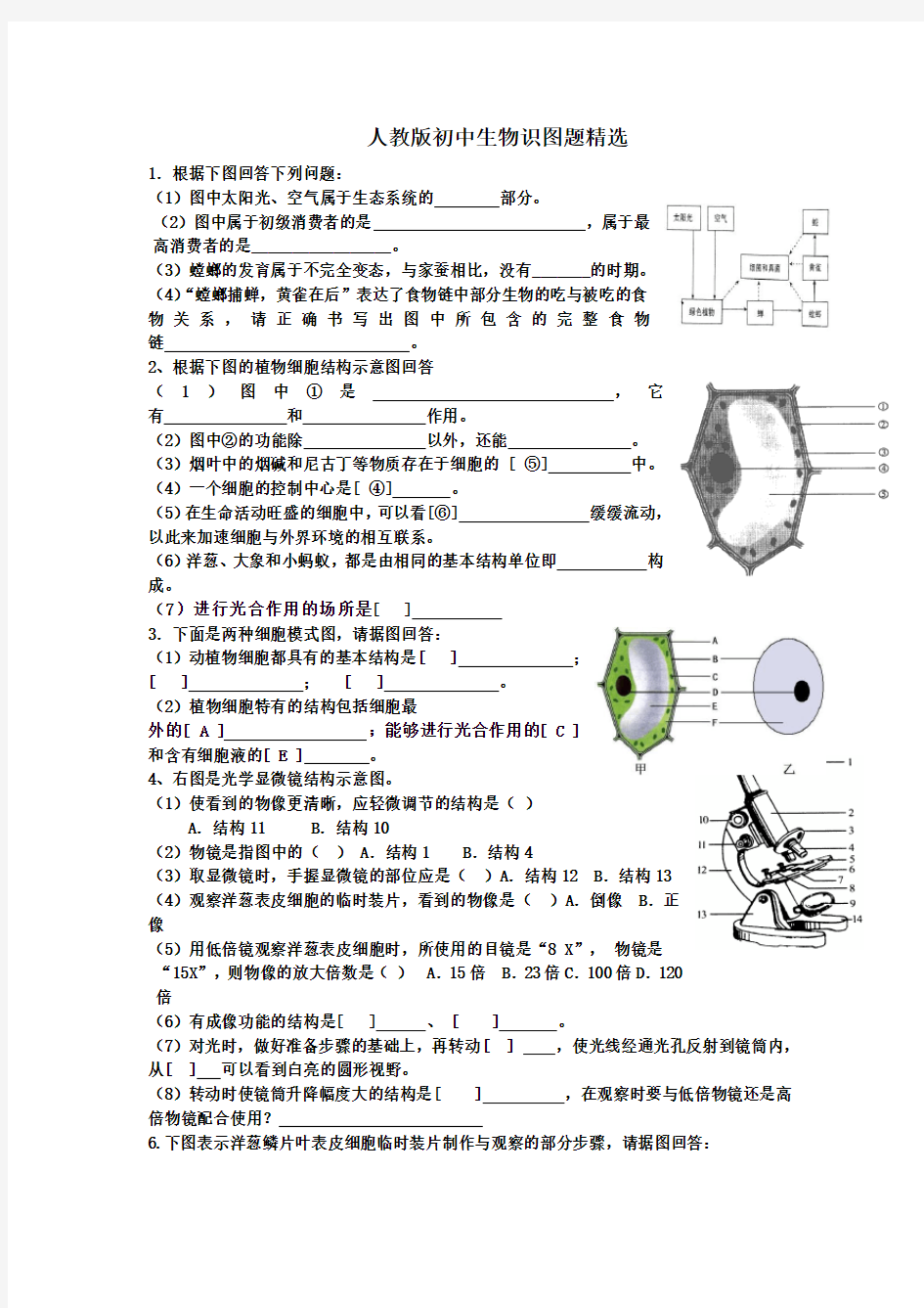 人教版初中生物识图专题(整理版)