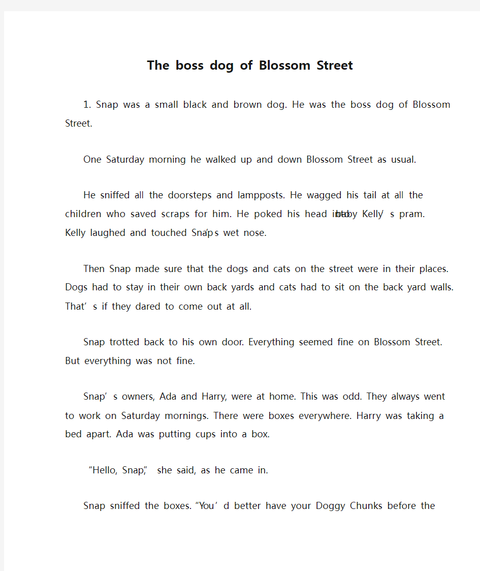 The boss dog of Blossom Street