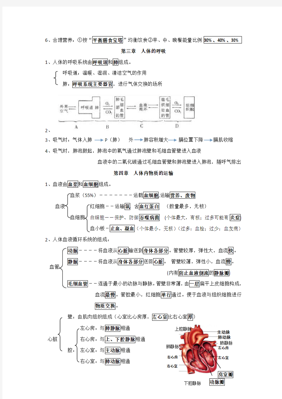 初一生物下册知识点