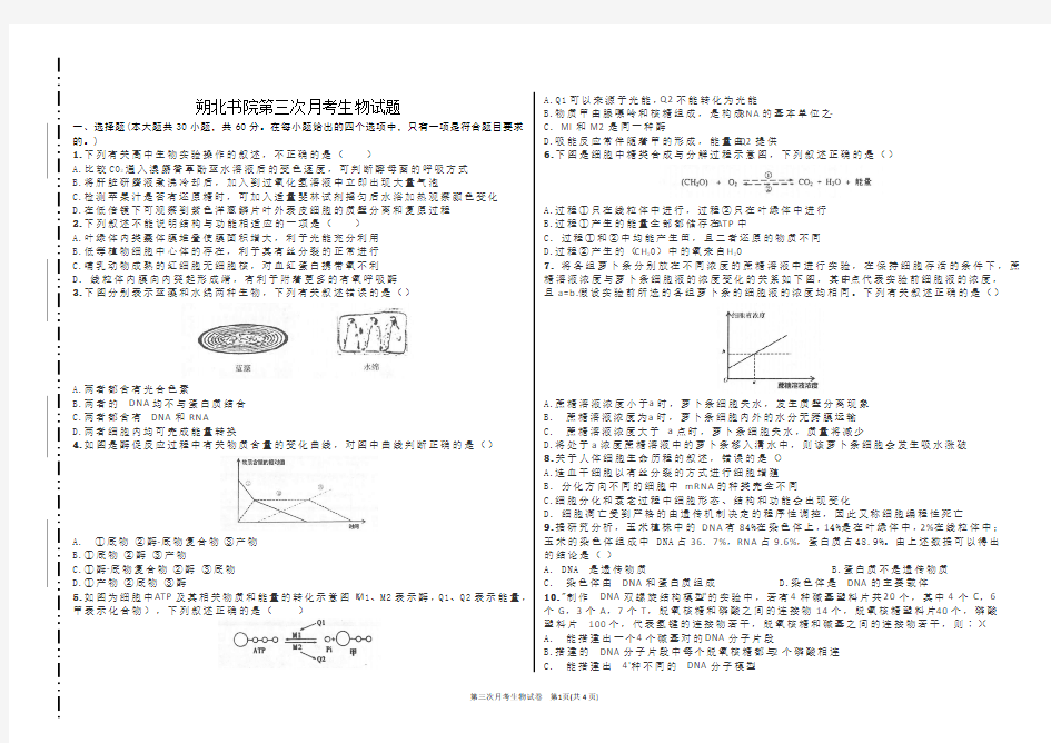 朔北书院第三次月考生物试题及答案