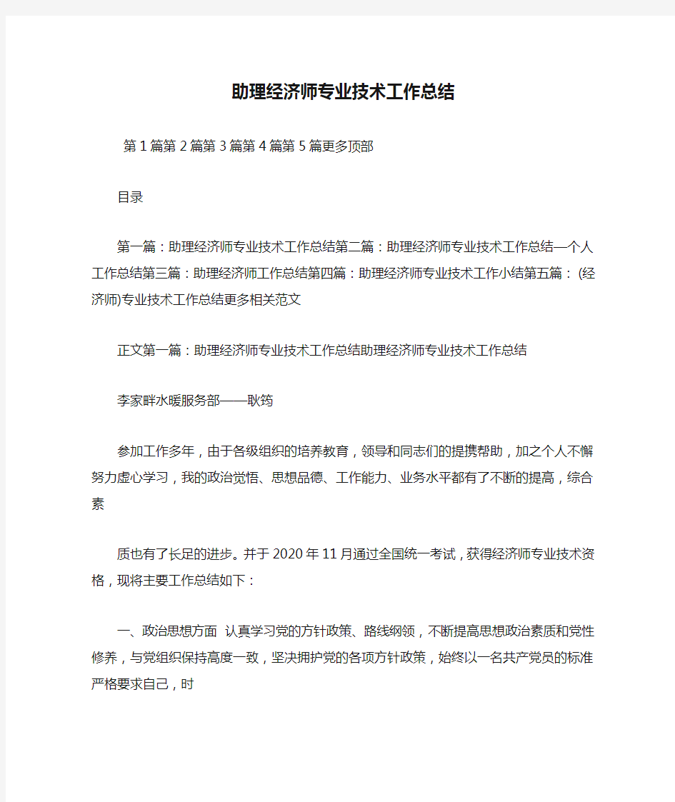 最新助理经济师专业技术工作总结