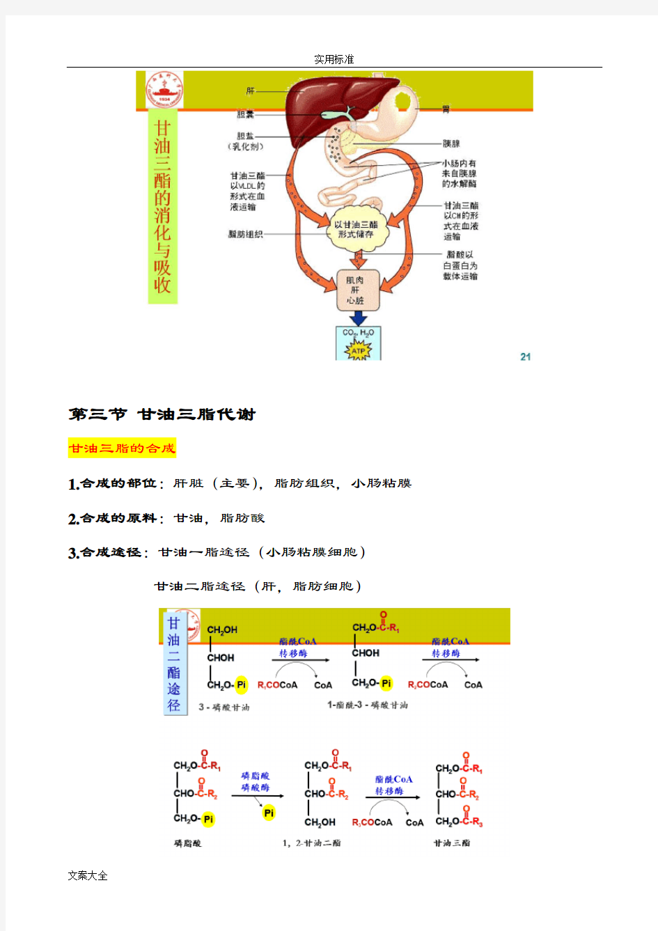 生物化学脂质代谢知识点总结材料