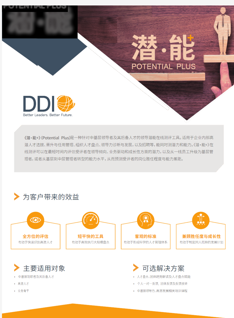 DDI领导力潜能报告