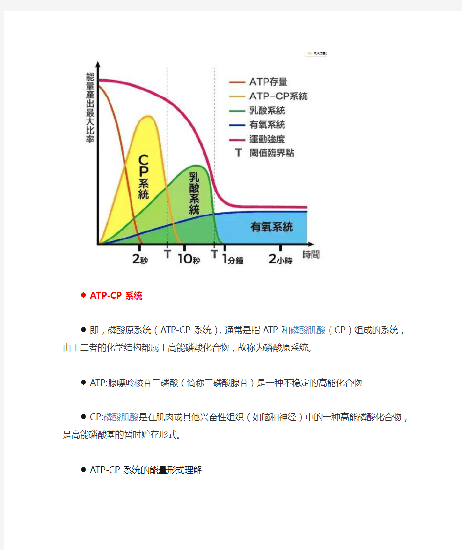 人体三大供能系统