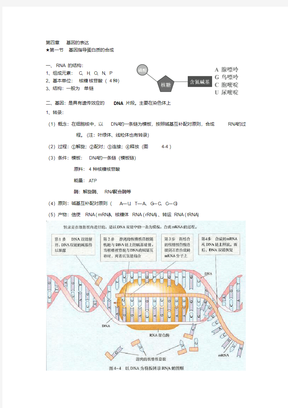 高中生物必修二第四章