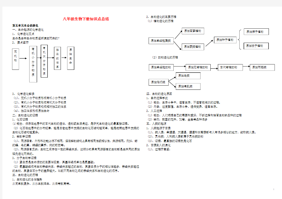 八年级生物下册知识点济南版