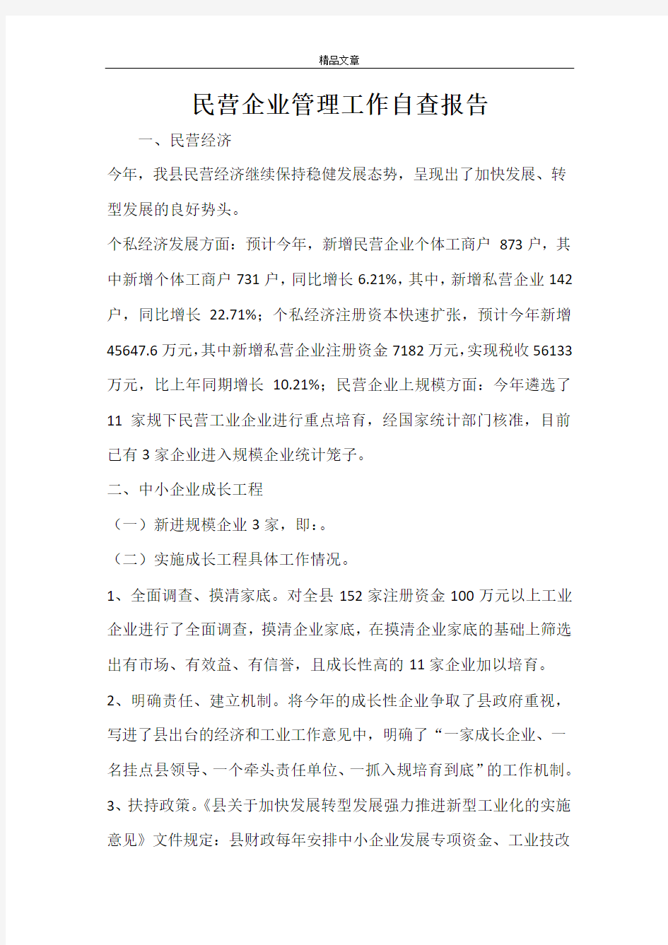 民营企业管理工作自查报告