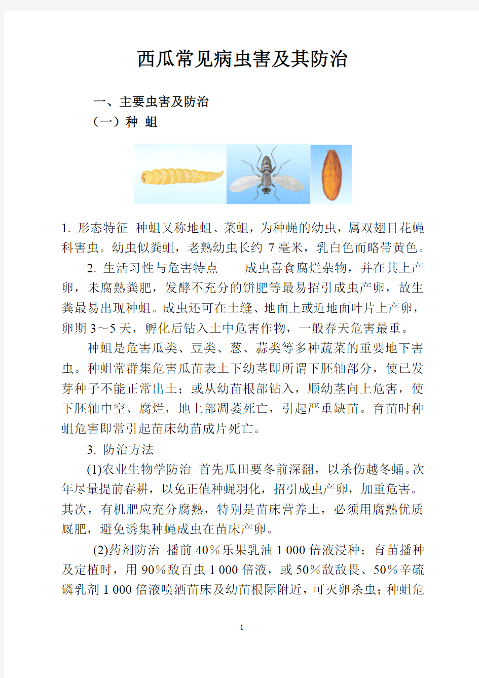 西瓜常见病虫害及其防治