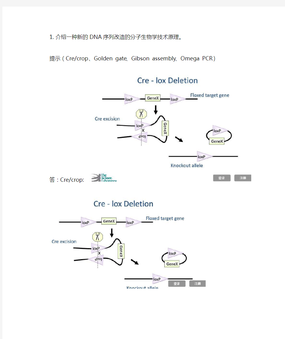 分子生物学