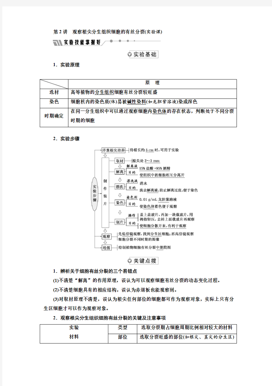 观察根尖分生组织细胞的有丝分裂(实验课)