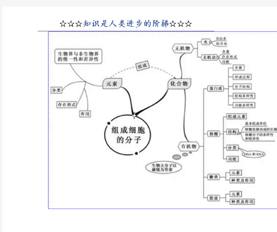 生物思维导图