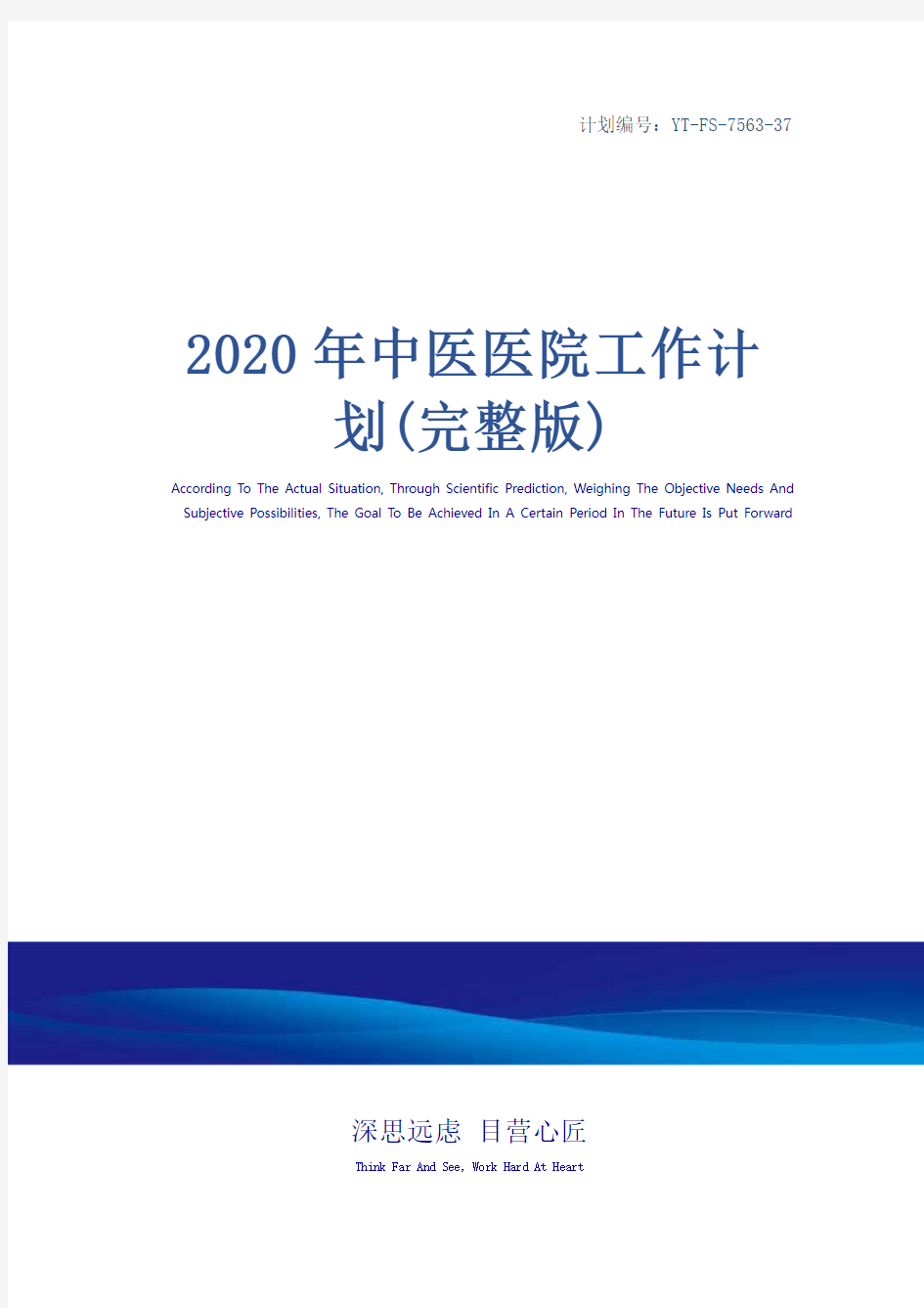 2020年中医医院工作计划(完整版)