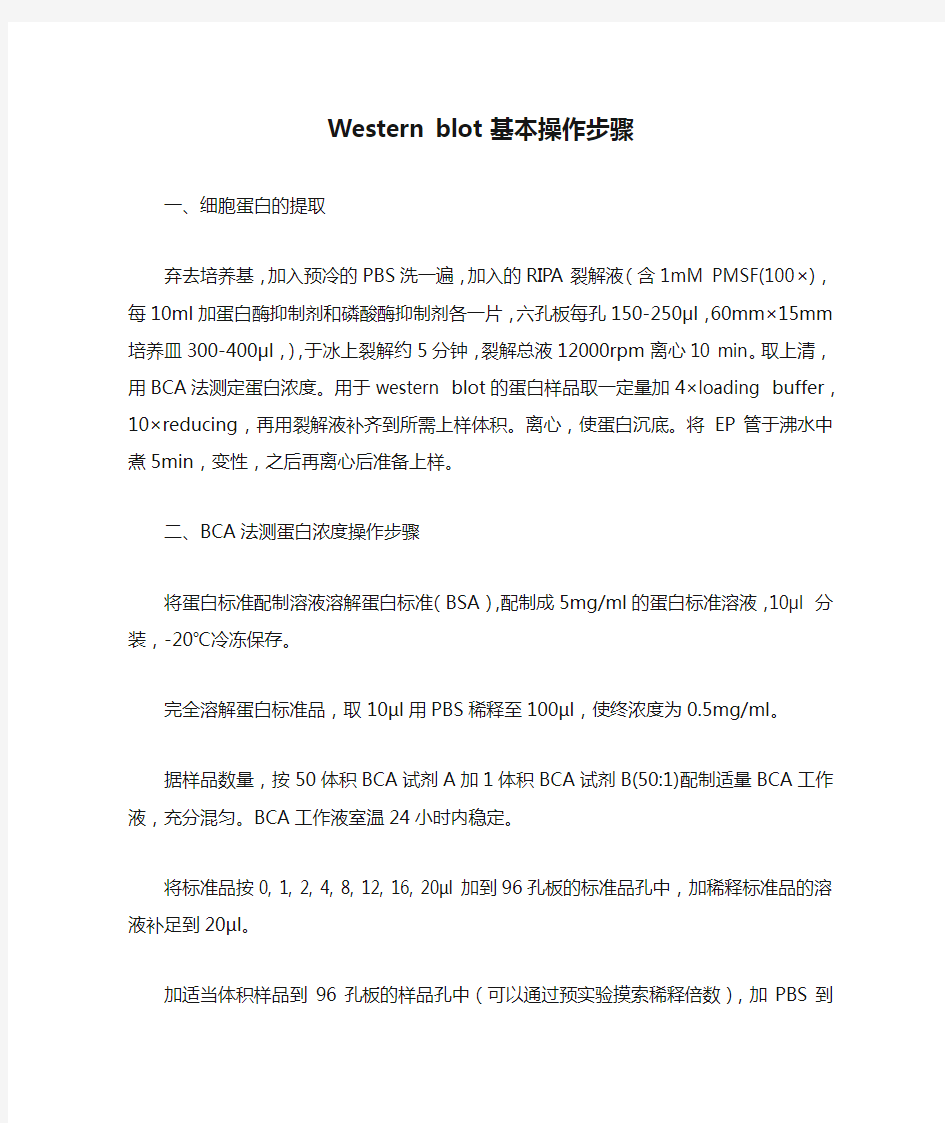 Western blot基本操作步骤