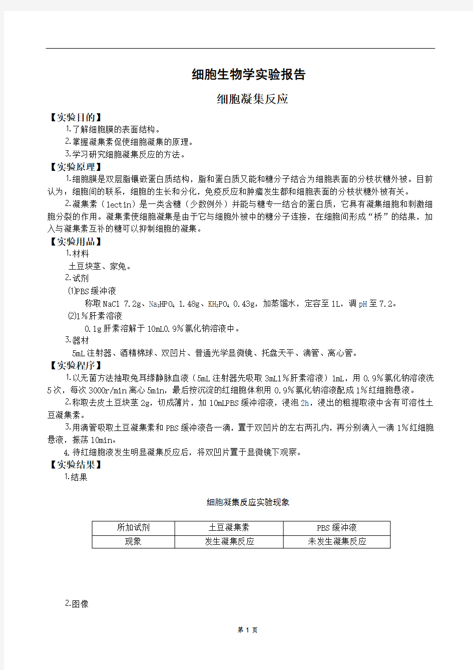 细胞生物学实验报告