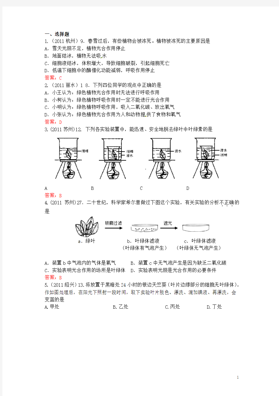 中考生物试题汇编7 光合作用