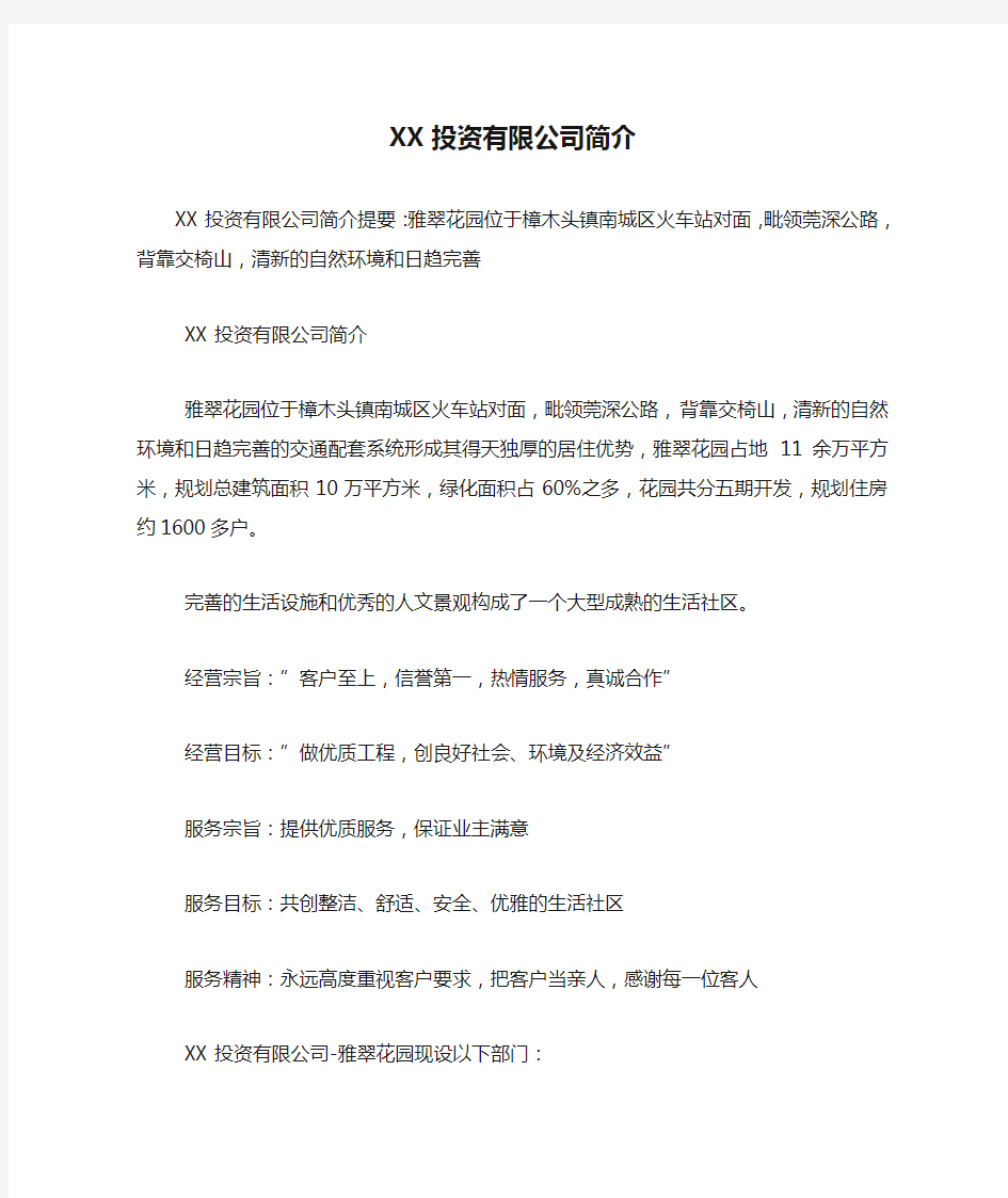 XX投资有限公司简介