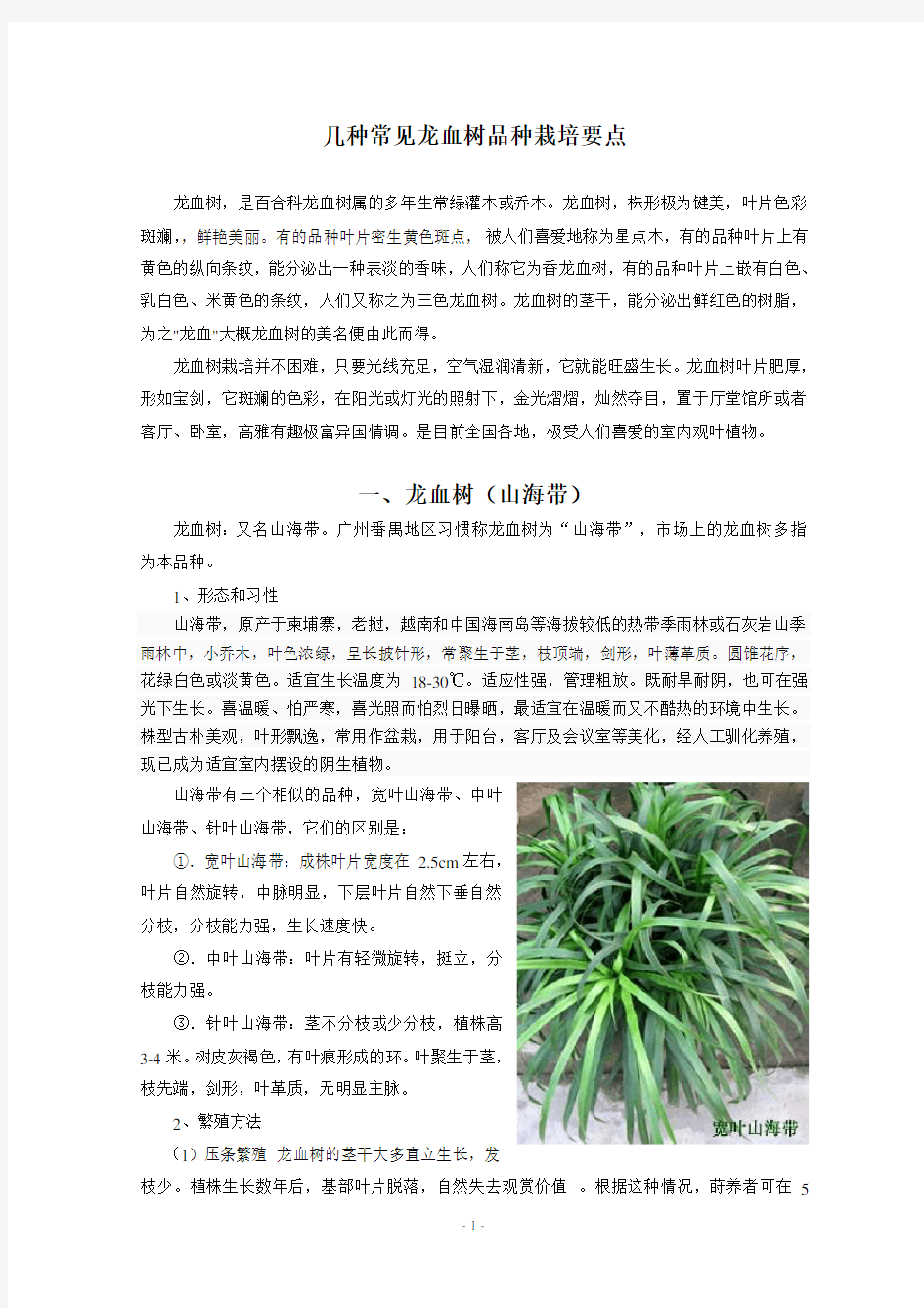 几种常见龙血树品种栽培要点