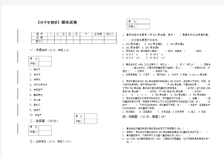 分子生物学试卷