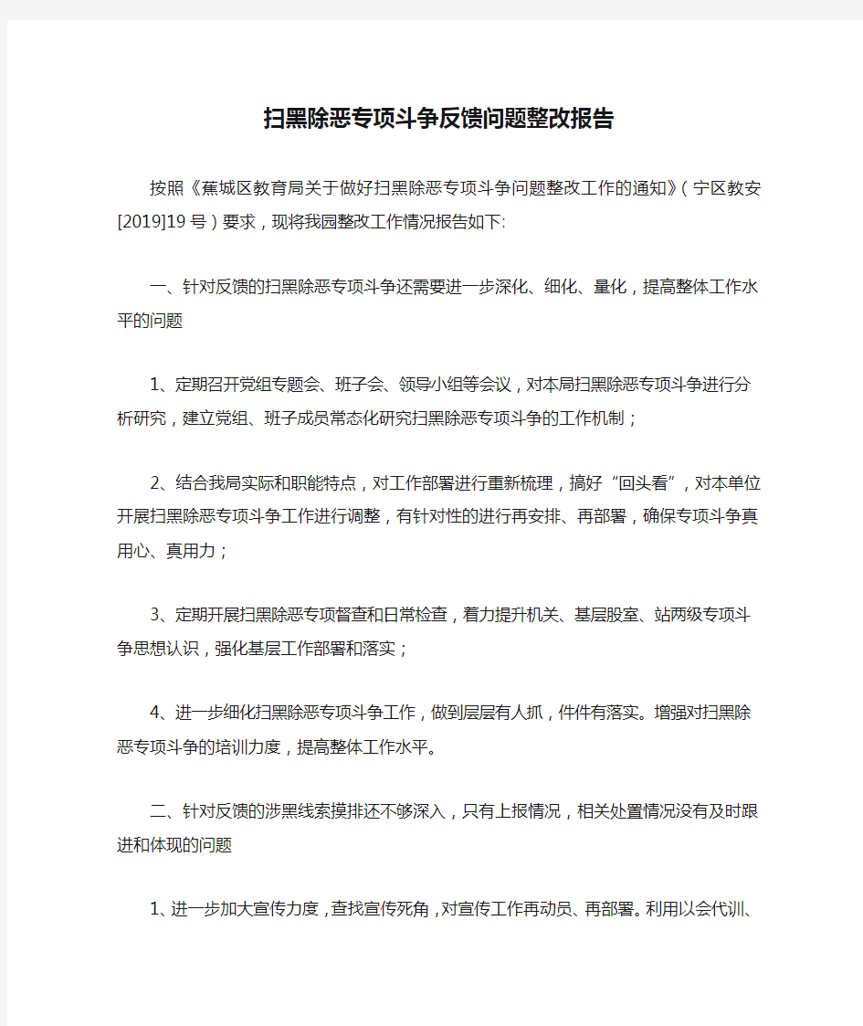 扫黑除恶专项斗争反馈问题整改报告