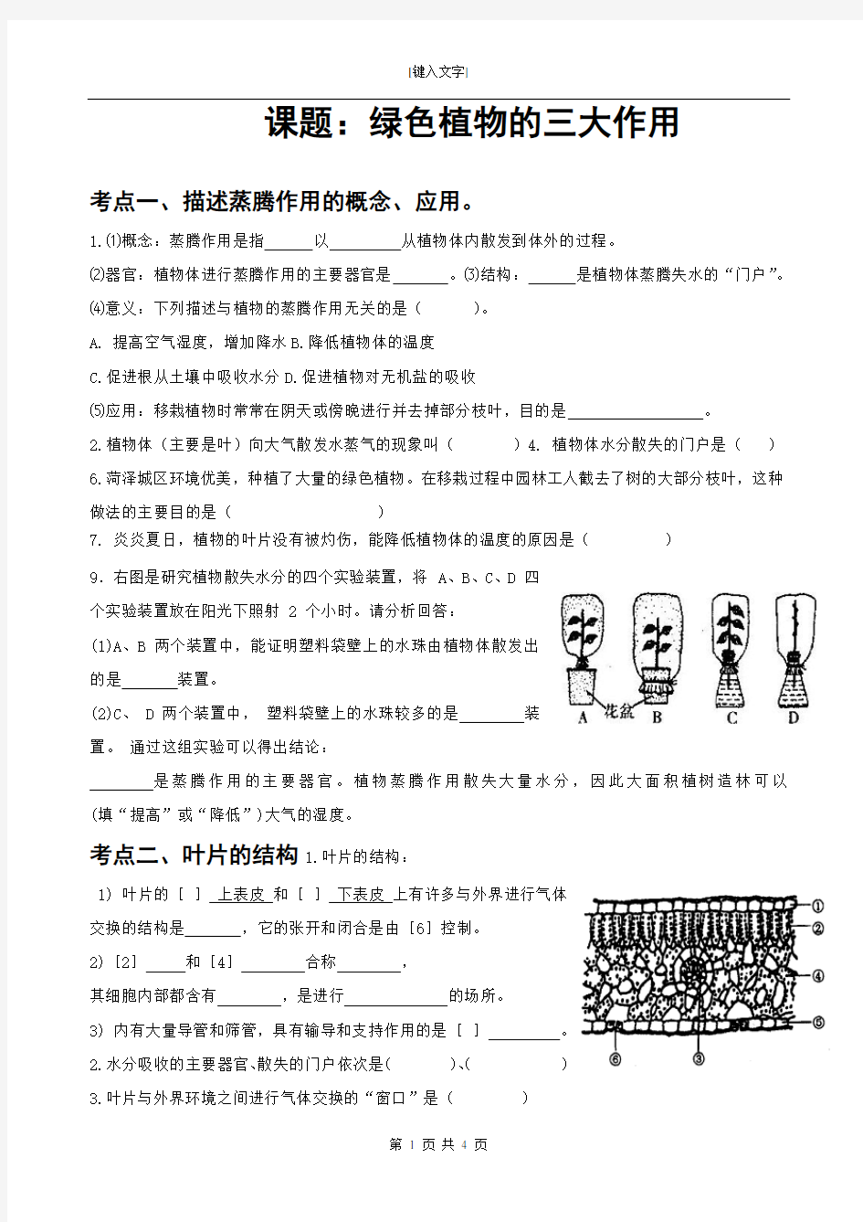 绿色植物三大作用专题复习题