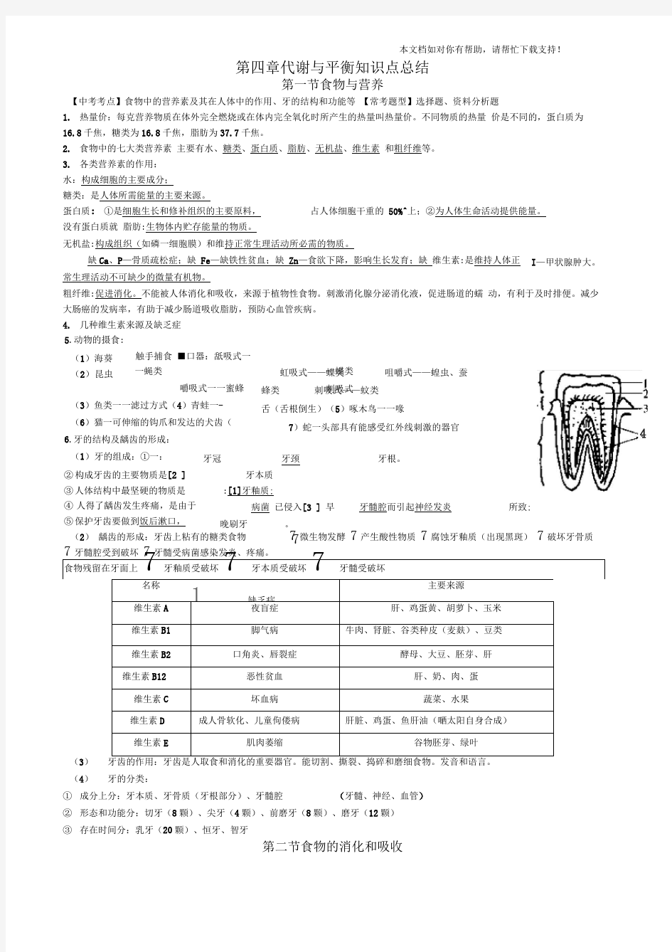 九年级科学上册第四章代谢与平衡知识点总结