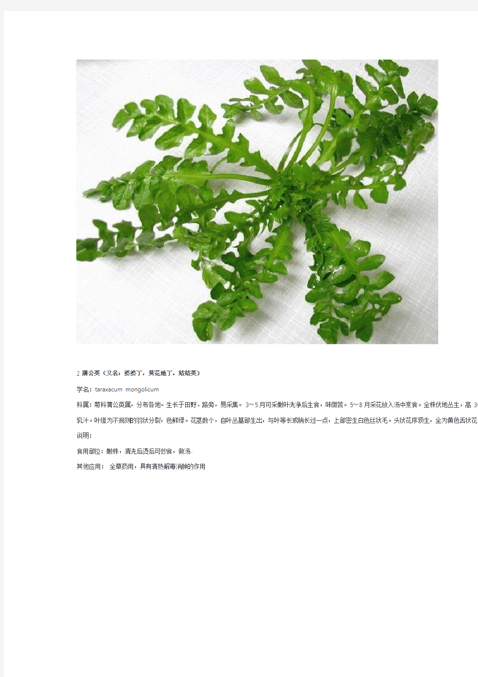 中国常见可食野生植物图谱