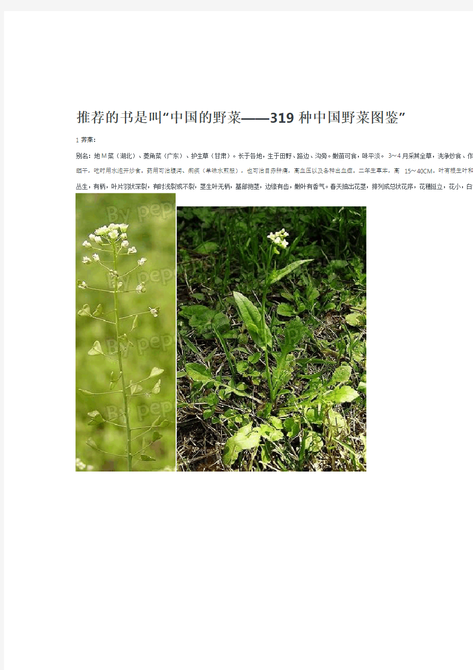 中国常见可食野生植物图谱