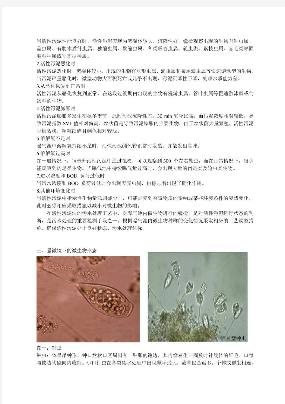 活性污泥中微生物的观察(整理)