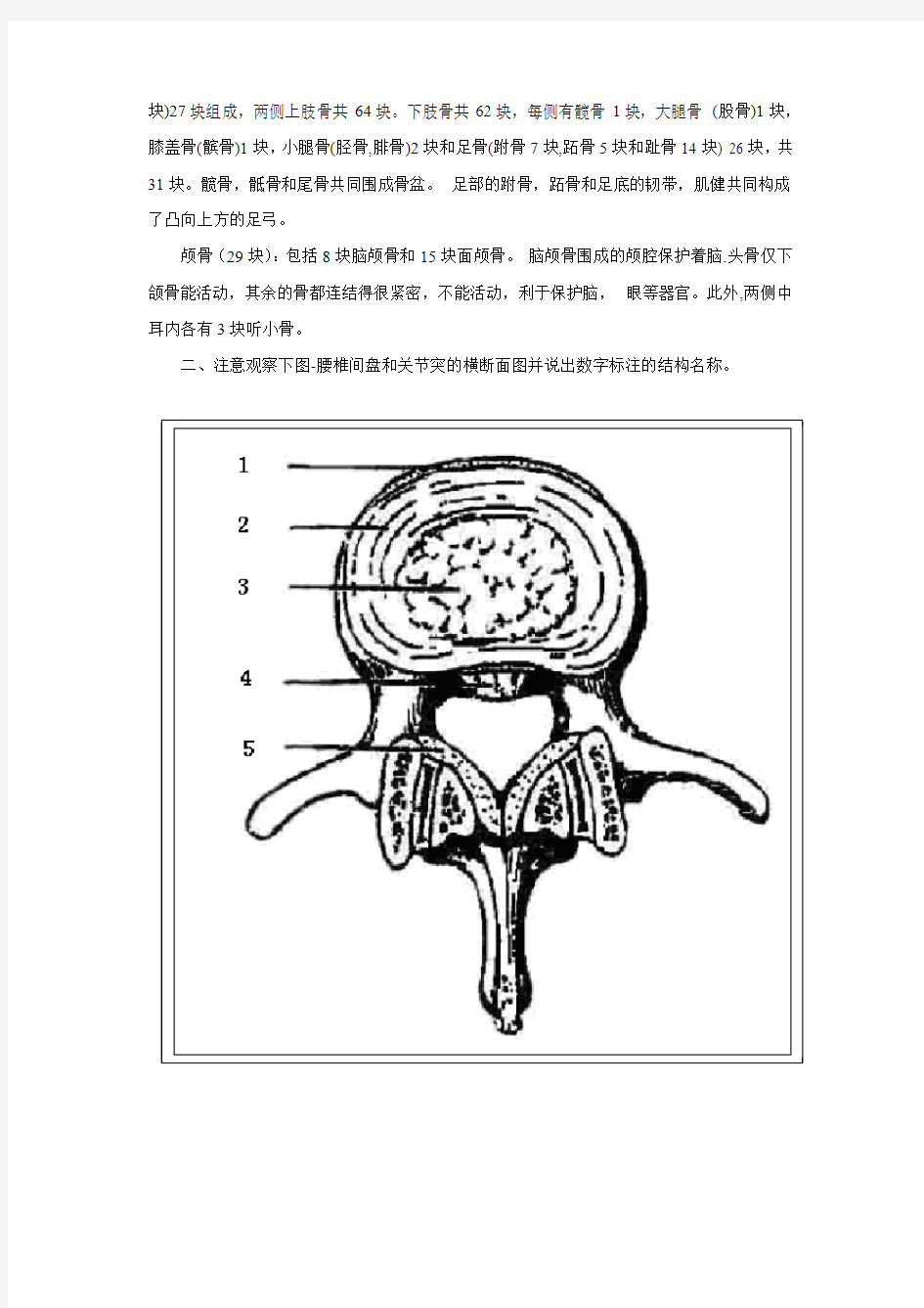 解剖学图片复习资料-骨骼