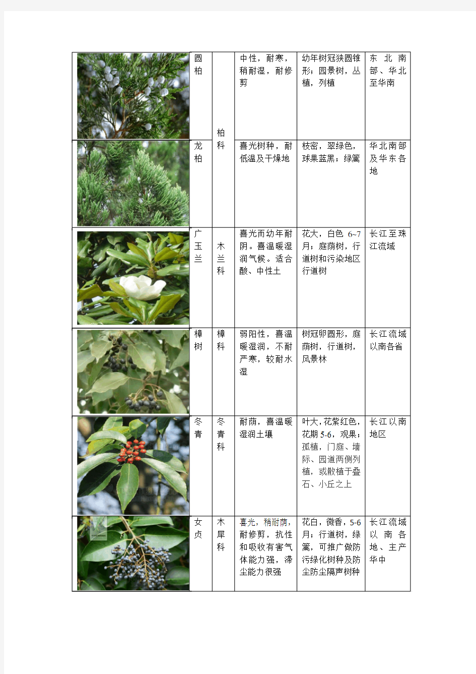 常用园林植物分类