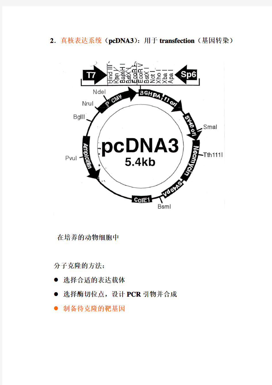 1常用的分子生物学内容和相关技术