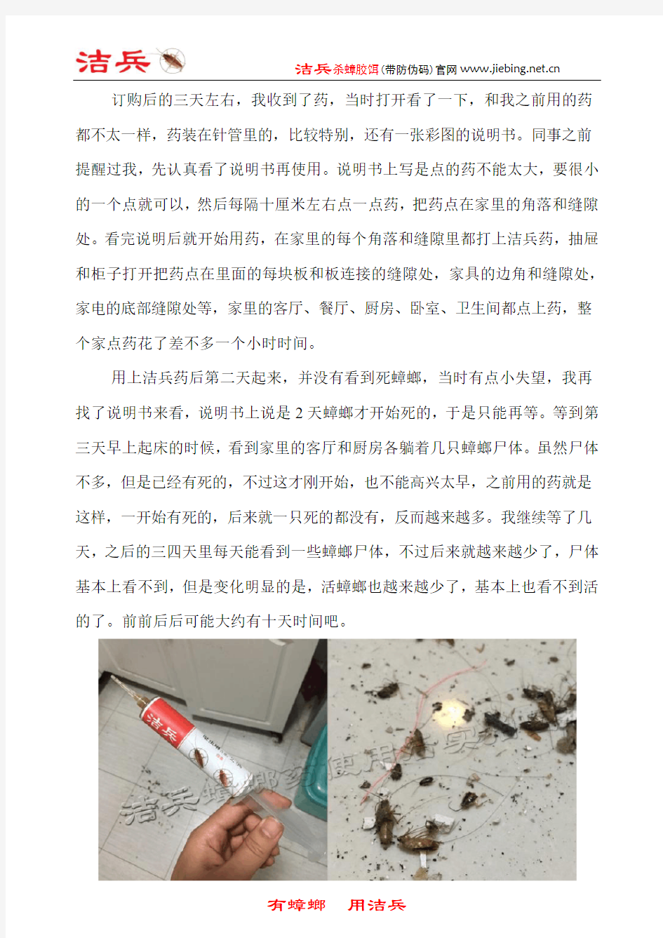 教你一个轻松灭蟑螂的小妙招 蟑螂总是灭不干净怎么办