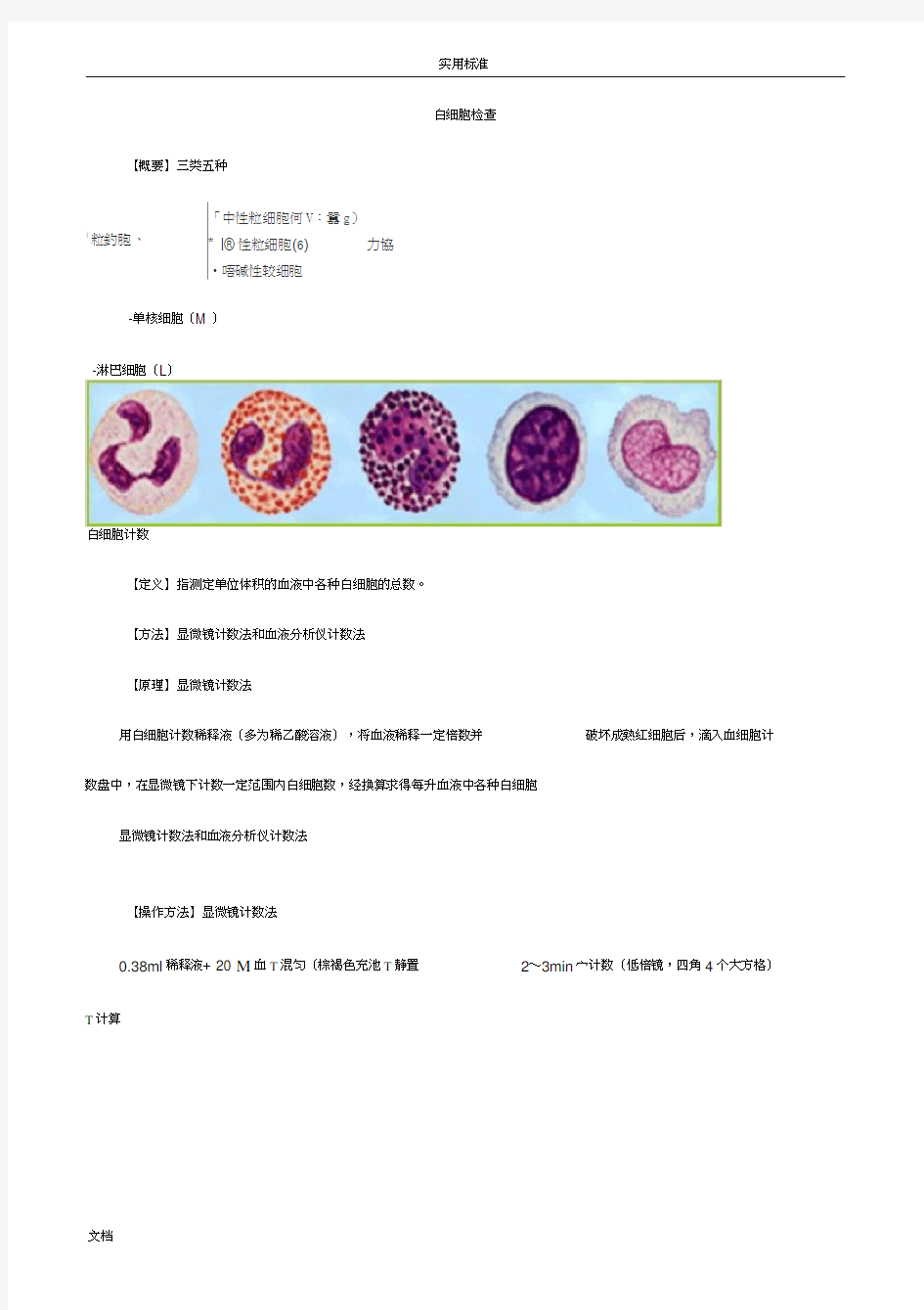 检验基础之白细胞检查