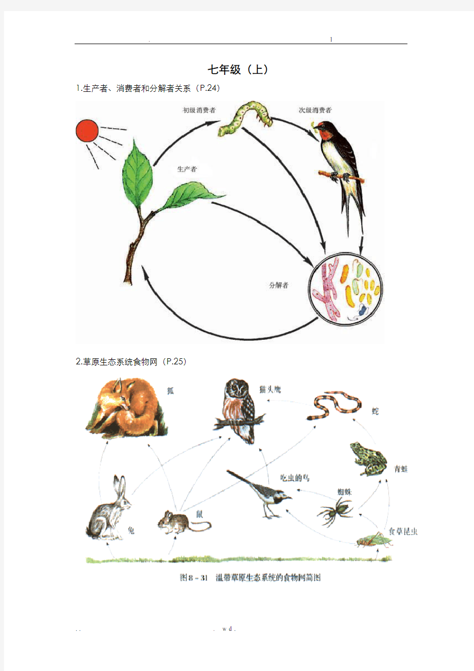 初中生物课本上的图